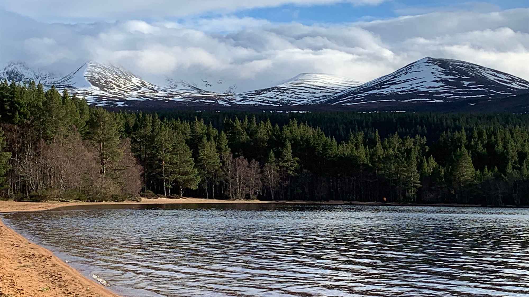 A glimpse of the sandy edge beside the open water of the loch with huge trees in the far side with snow peaked mountains towering above on the distance 