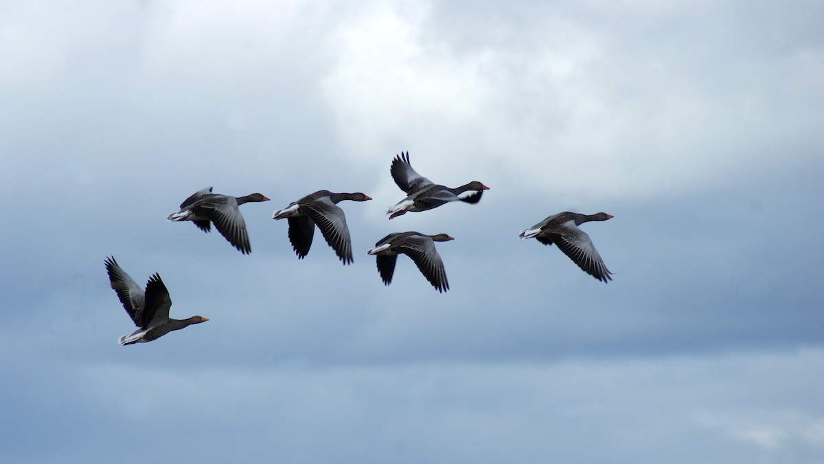 Jonathan's final image