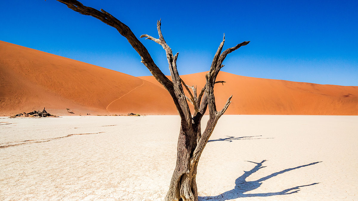 Shutterstock photo of Sossusvlei 