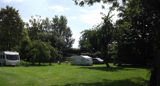 Coombe Quarry, TA11 6DQ