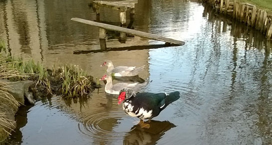 Quarryhill, PH10 6SG, Blairgowrie, Perthshire & Kinross, Scotland