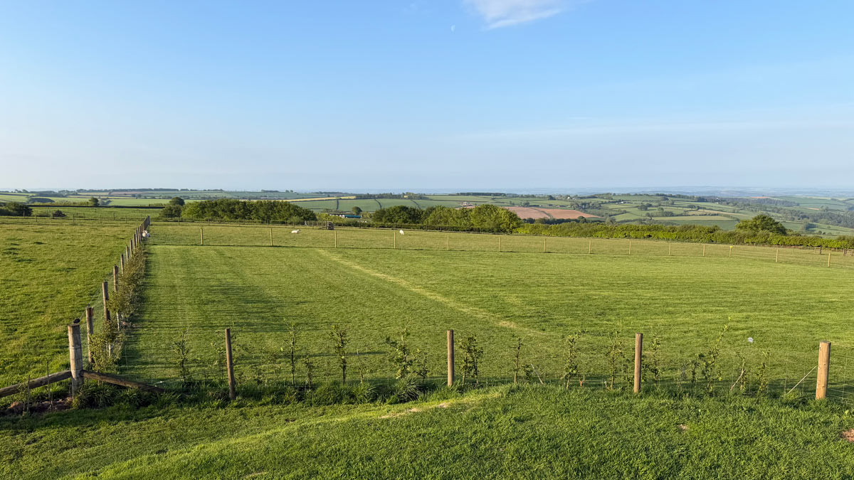 Arkadia, EX31 4TL, Barnstaple, Devon, 2026