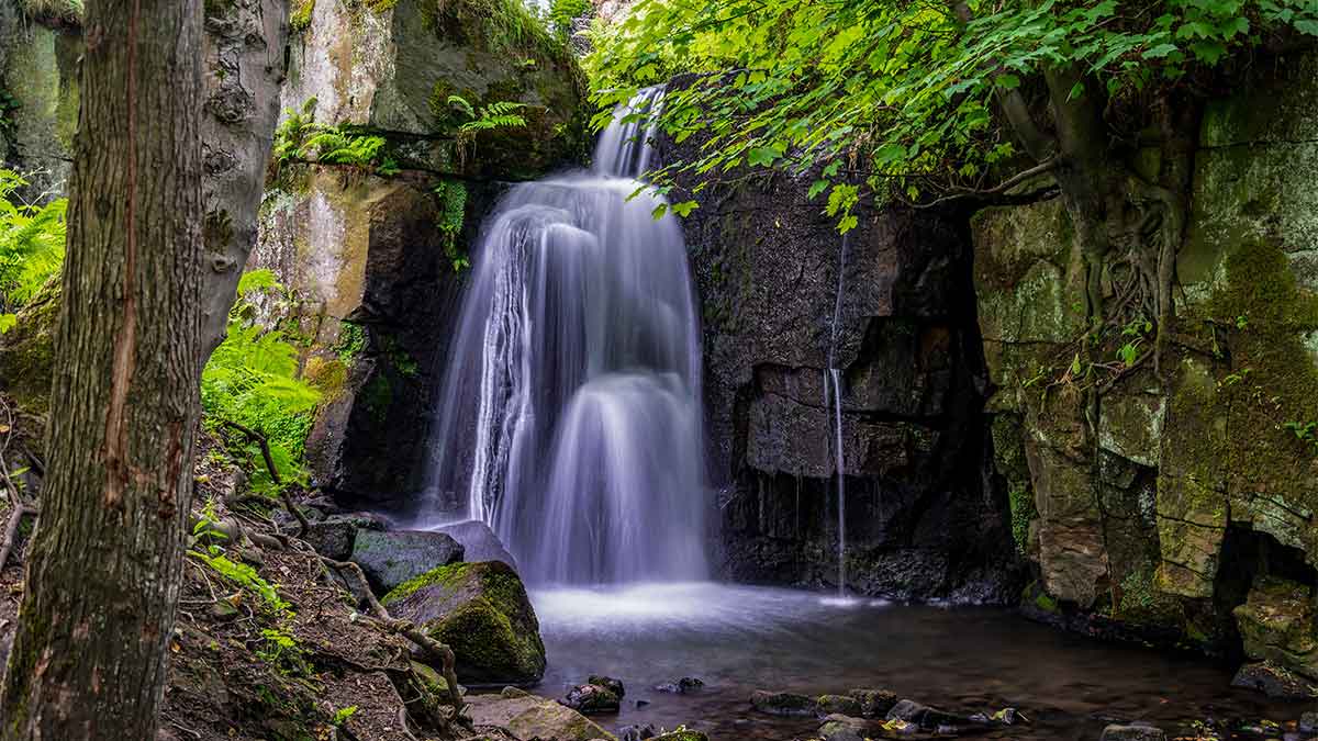 Looking a the water flowing down Lumsdale Waterfall through the trees bordered by high rock walls