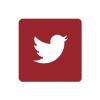 twitter icon