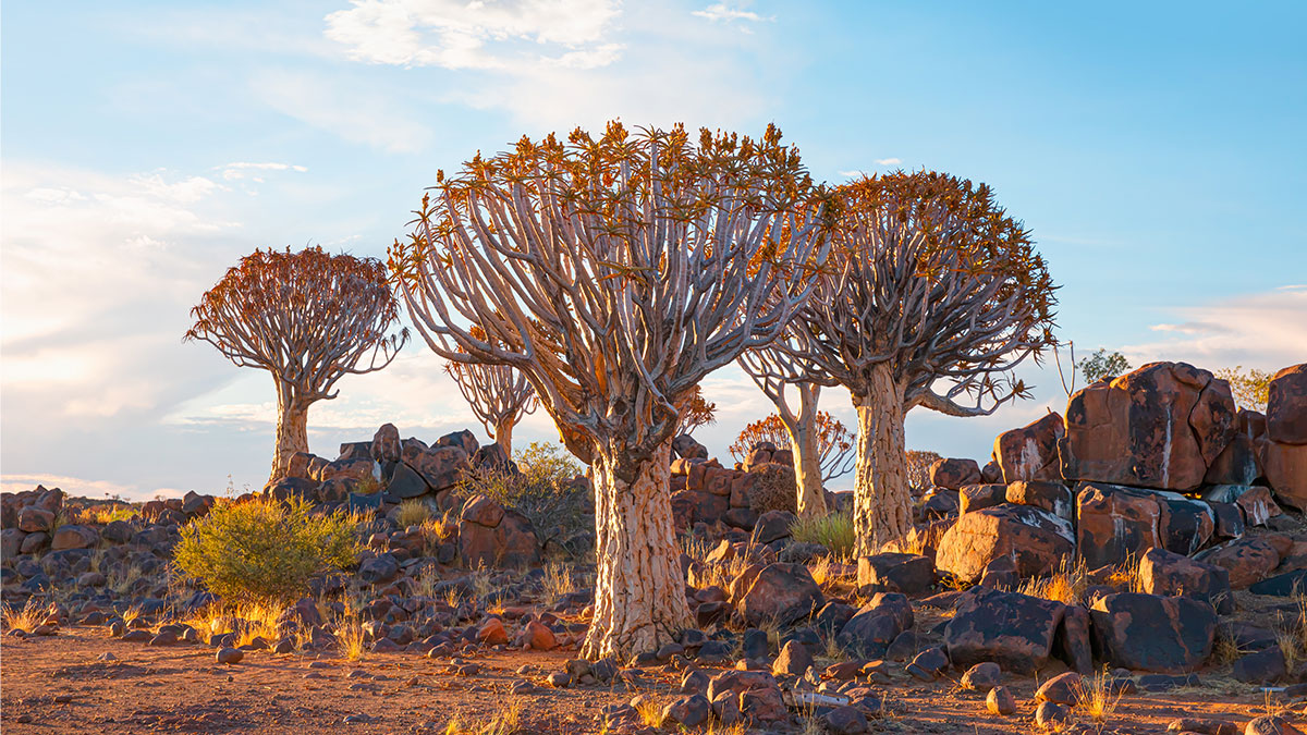 Shutterstock photo of Keetmanshoop