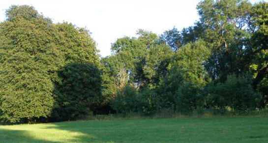 Freemantle Park Farm, RG26 5UD, field, trees