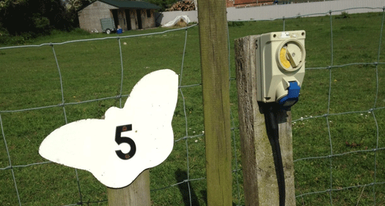 Springview, PE32 2YA, Dereham, Norfolk