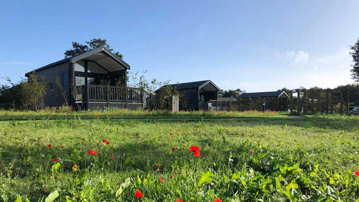 Glamping cabin cayton village