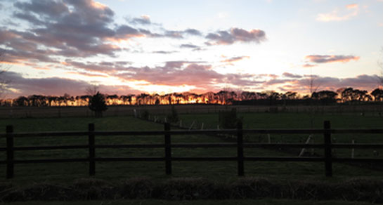 Side-a-Wood CL, NR21 9JA, Norfolk, Fakenham