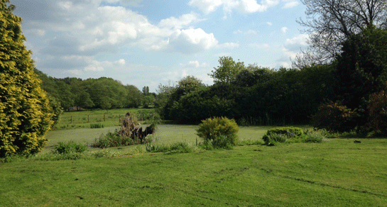 Springview, PE32 2YA, Dereham, Norfolk