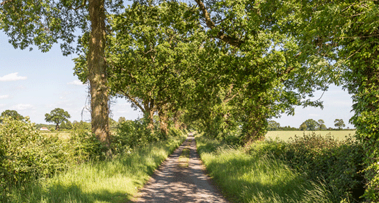 Stubbs Hill, NR17 2LS, Attleborough, Norfolk