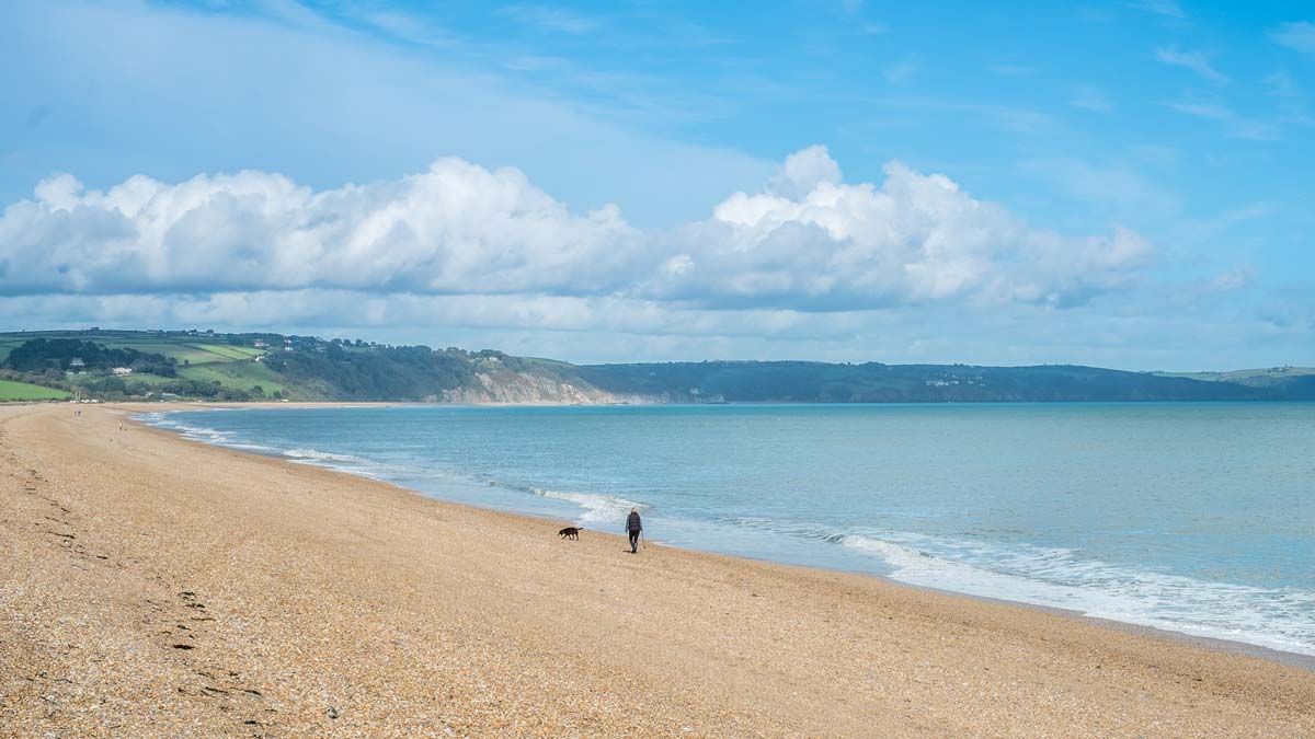 Lone dog walker on sun-drenched Slapton Sands beach