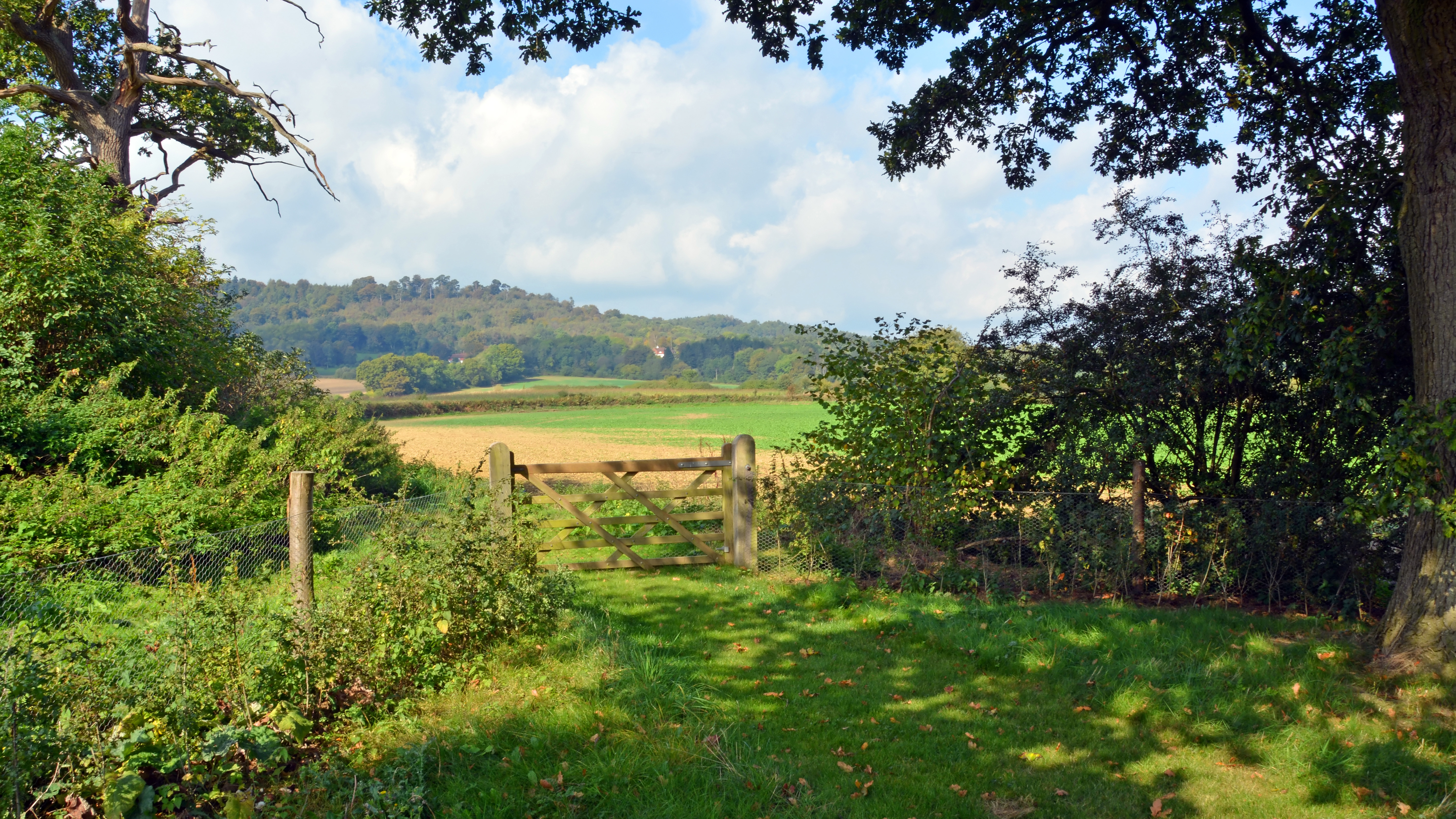 Scenic route in South East England looking out over a gate at the Surrey Hills on Cranleigh Barn Farm near Guildford in Surrey