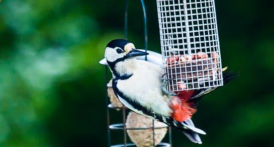 High Breame, YO15 1AA