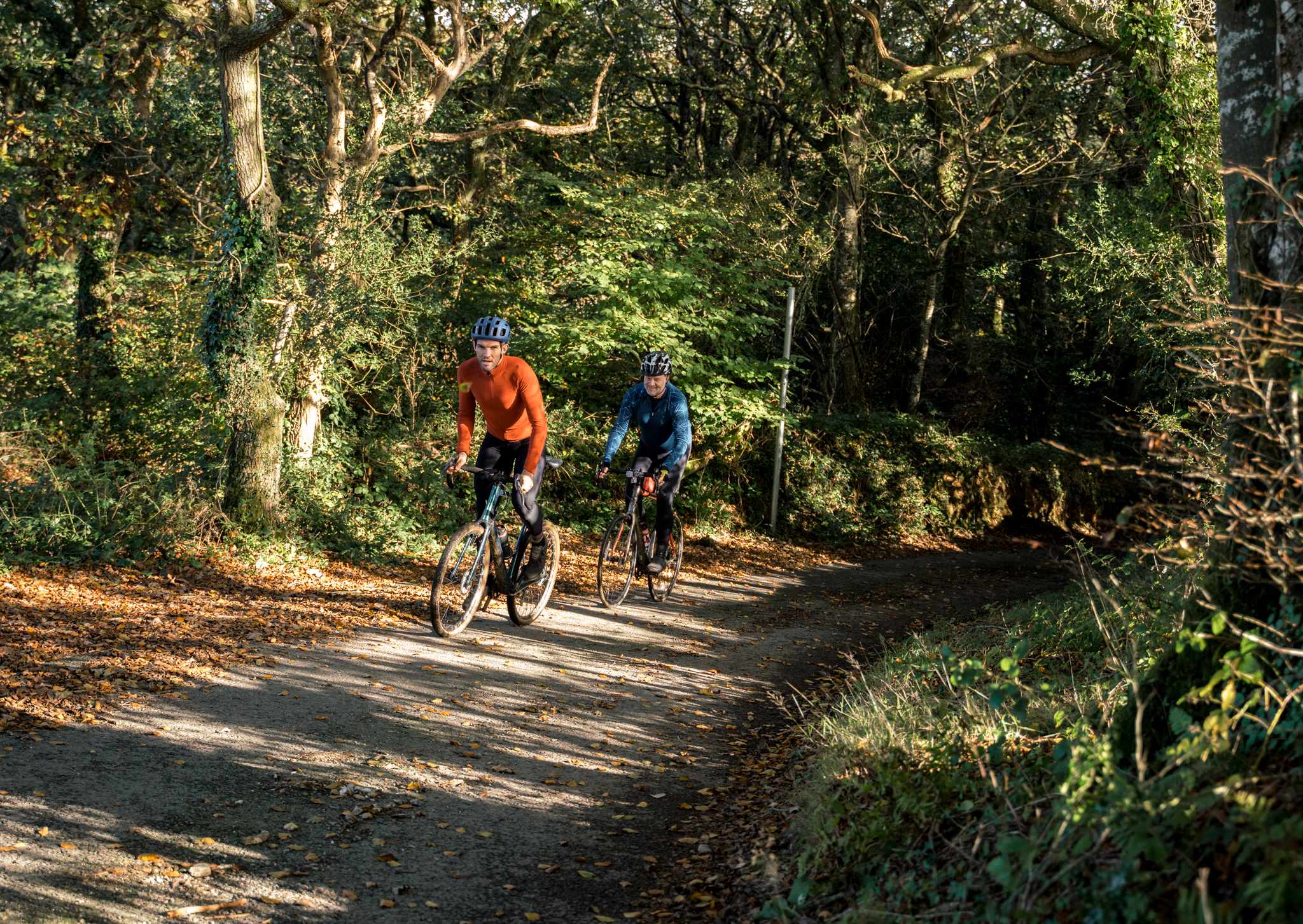 Two men cycling uphill along tree-lined road