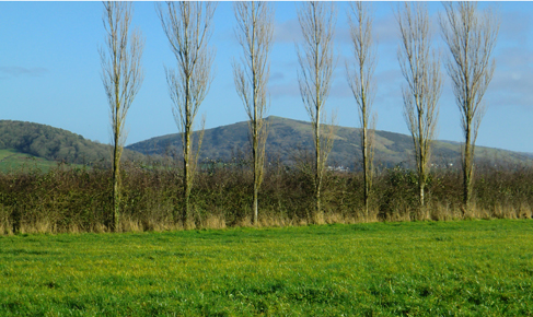 Appledore Farm, BS24 0BY