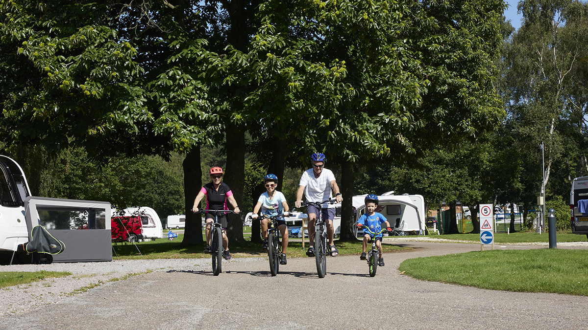 A family of four riding bicycles together surrounded by greenery and blue sky