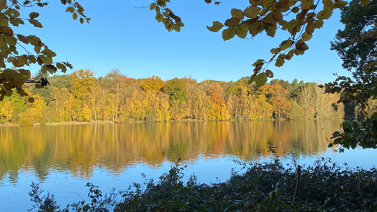 A tranquil lake mirrors nearby trees and their colorful autumn leaves