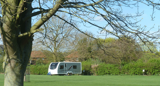 Manor Farm, PE32 1BG, Norfolk, King's Lynn, caravan, field, pitch