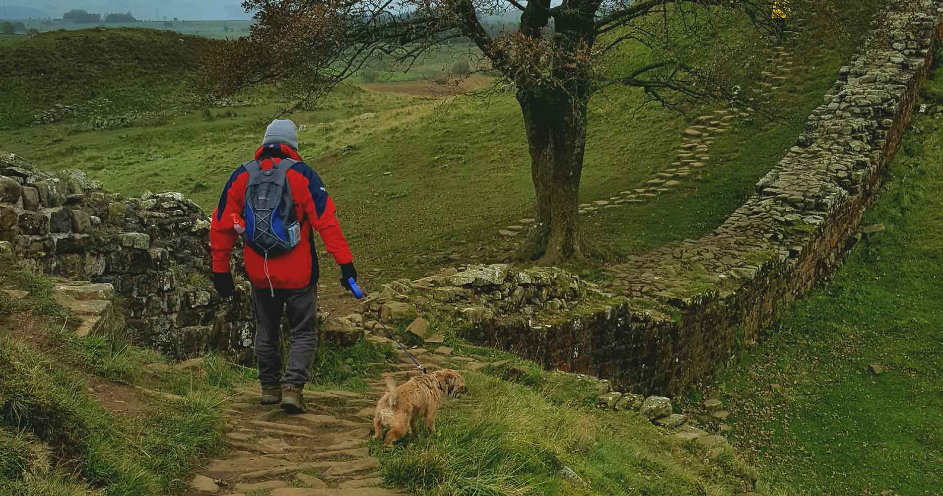 Person and dog walking the Hadrian's Wall route