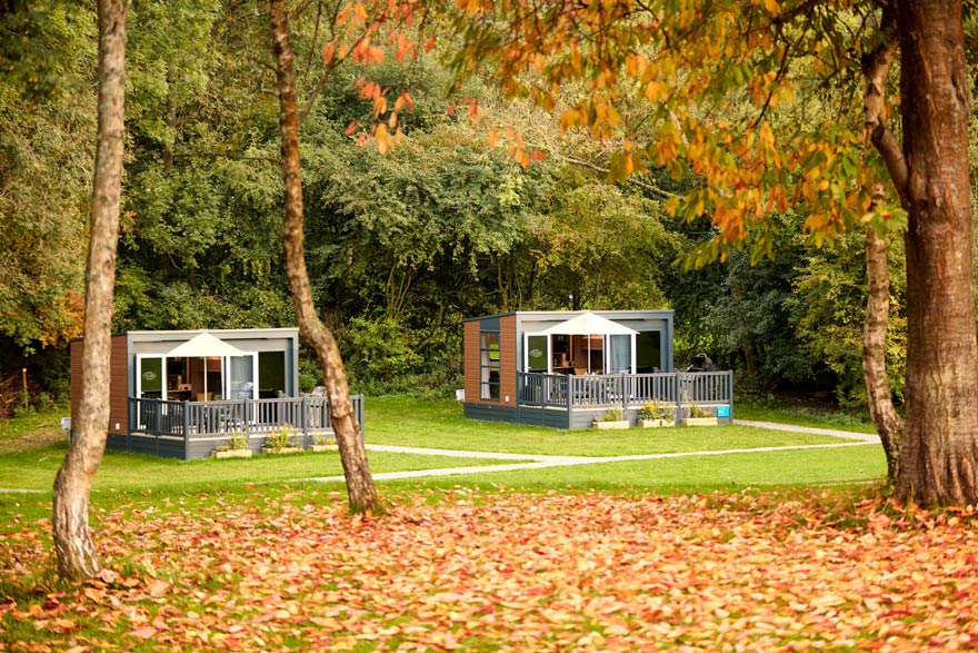 Two glamping pods surrounded by Autumn leaves