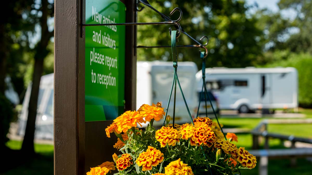 Orange flowers hanging from welcome sign at site entrance