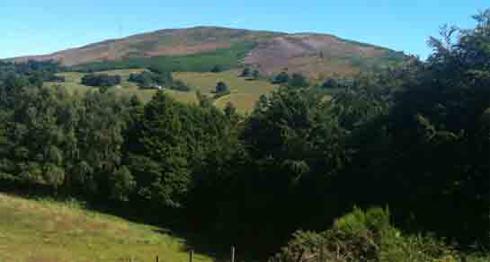 Warren CL, LL16 4DT, Denbigh, Denbighshire, Wales