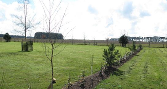 Side-a-Wood CL, NR21 9JA, Norfolk, Fakenham