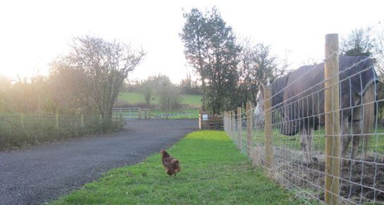 Port Arthur Farm, HG5 9JA, Knaresborough, North Yorkshire