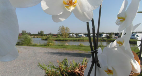 Walnut Lakes CL, PE20 2LQ, formerly Daisy Lake, Boston, Lincolnshire