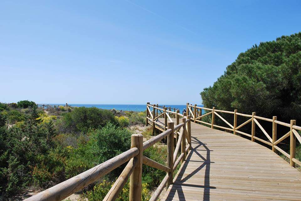 Cabopino, Playa de Cabopino, Southern Spain, Bridge, Water