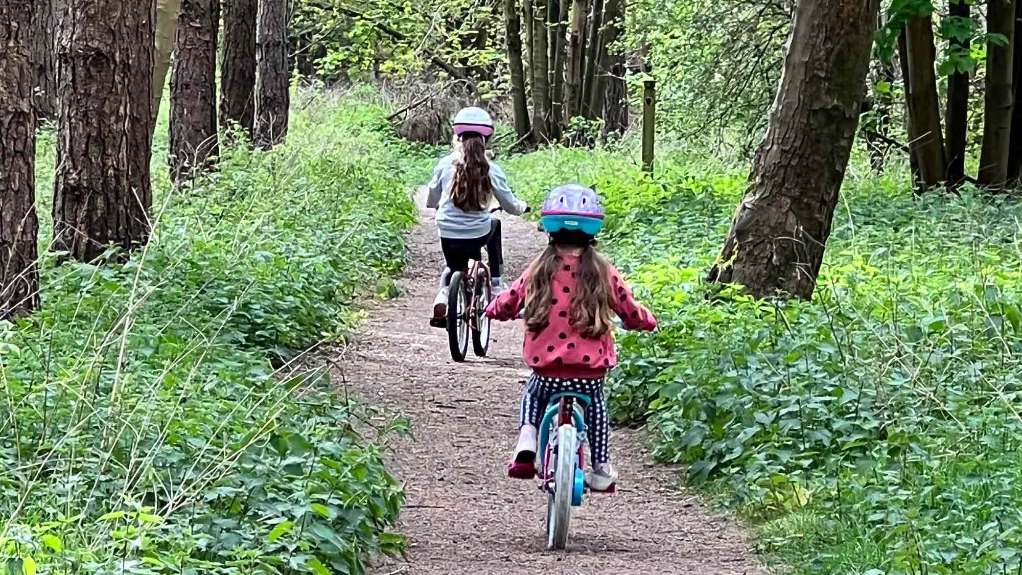 two young children cycle through the forest
