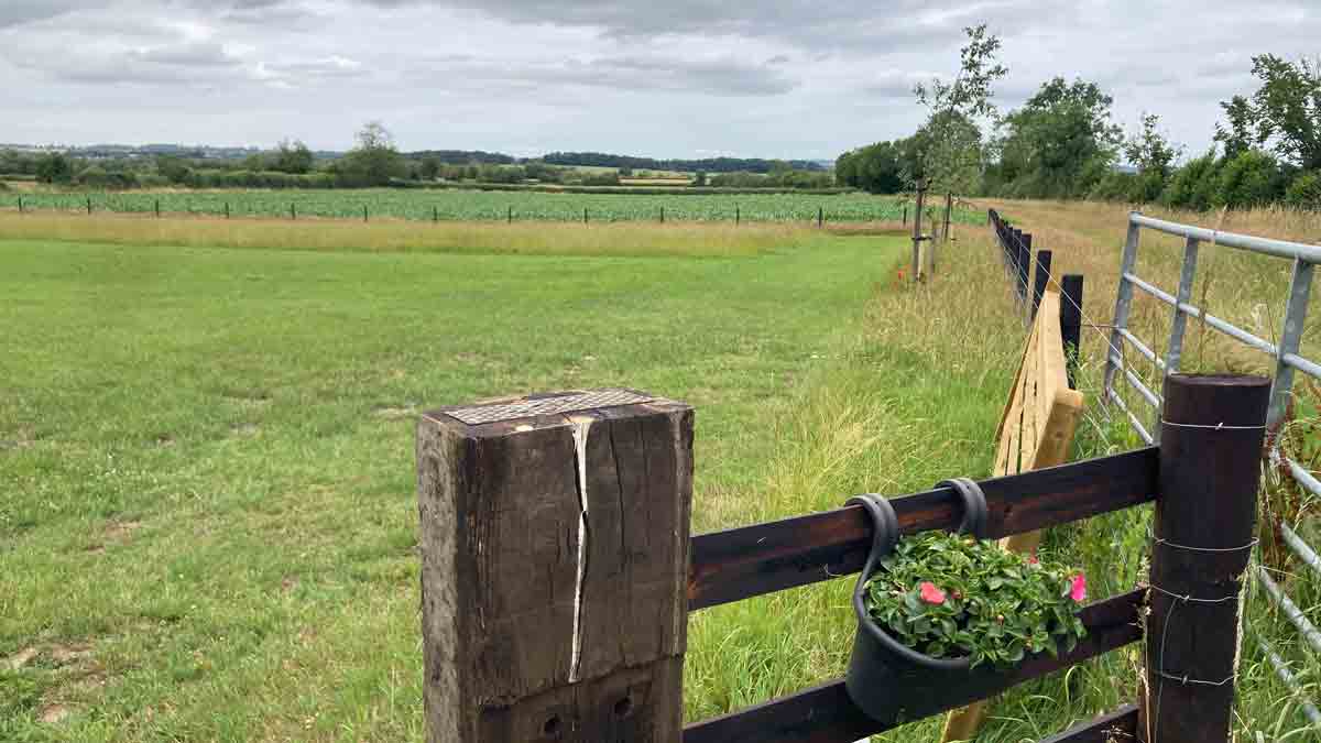 Lower Burrow Farm, TA12 6BS, Langport, Somerset, CL owner, 2026, field, pitch, grass, fence, trees
