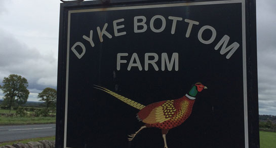 Dyke Bottom Farm, HG3 2BT