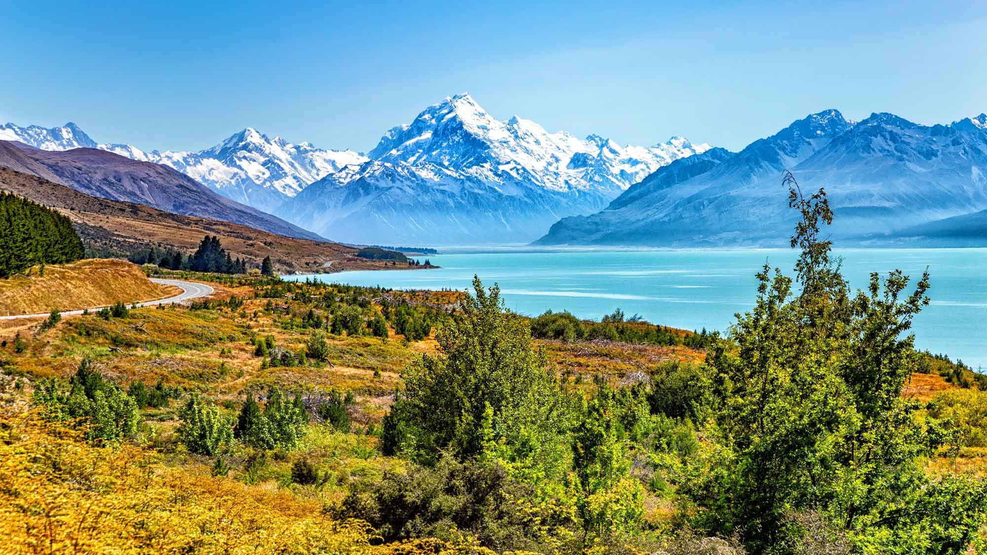 Looking across the grass and trees leading to Lake Pukaki with the high snow covered mountains in the distance