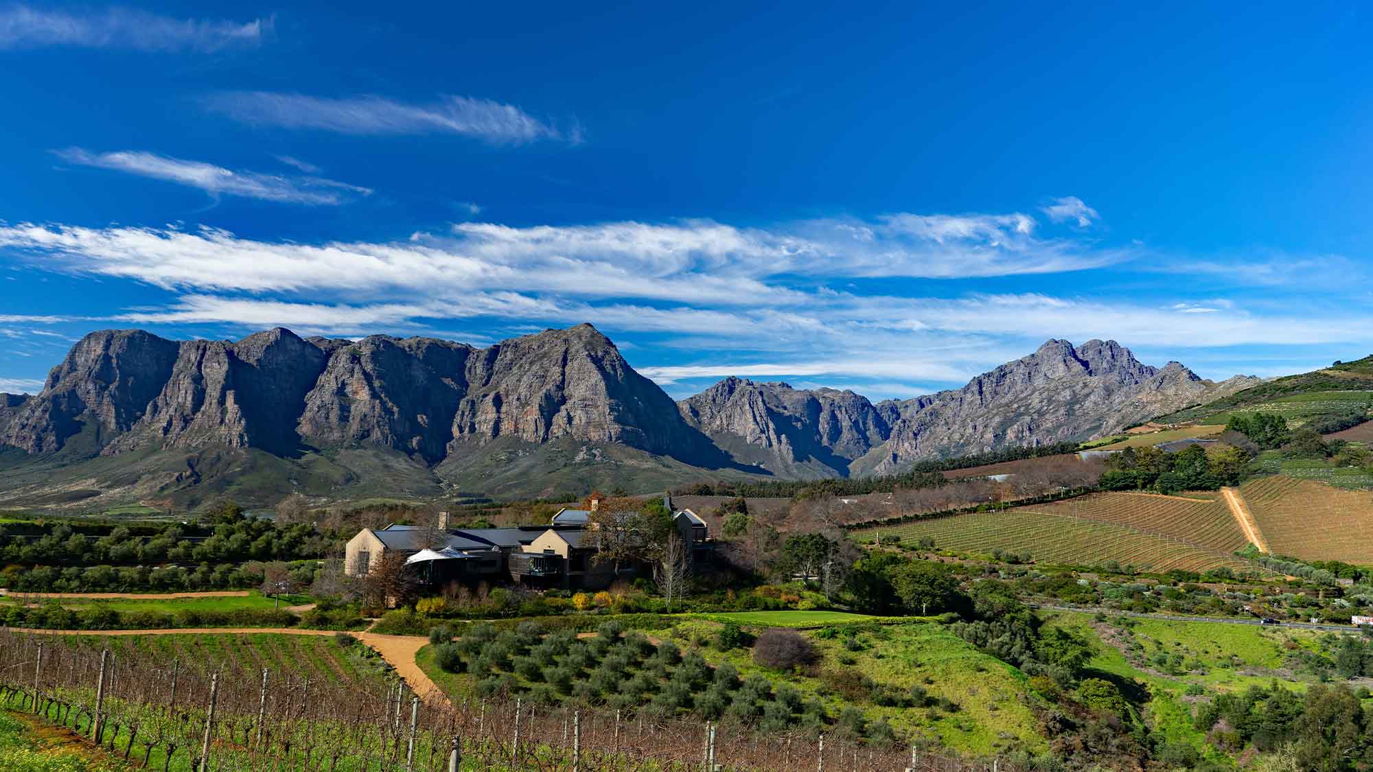 Fields of green  with buildings peeking over the trees big moutains in the distance topped with a blue sky at the Winelands of Franschhoek and Stellenbosch