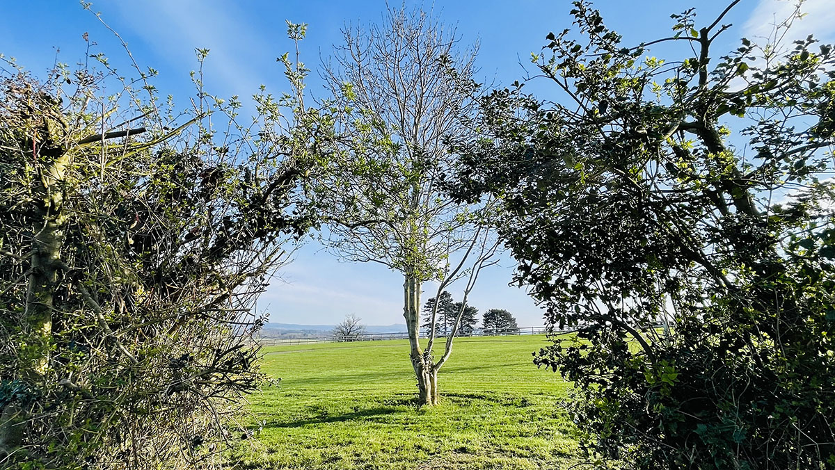 Betley Park