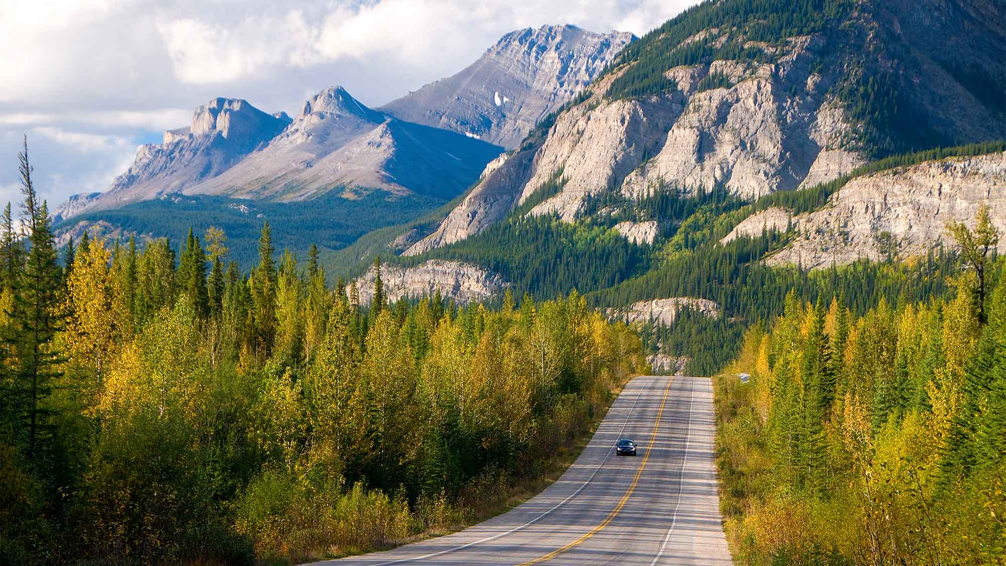 Road through the trees with high mountains behind at Jasper National Park Canada