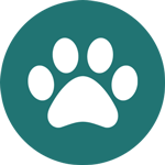 dog paw icon