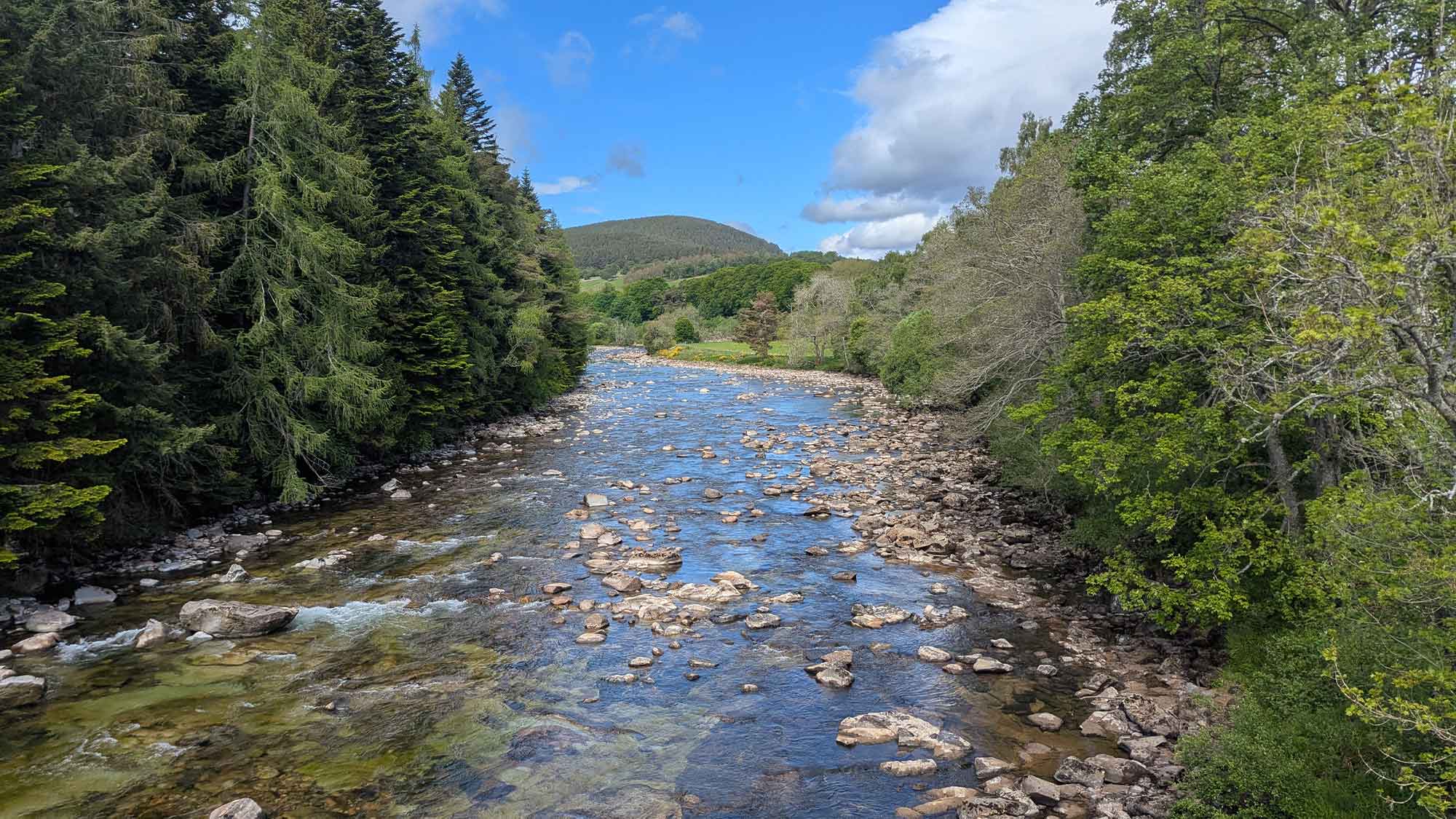 A wide shallow river, clear water with rocks on the river bed, with towering green trees on either side, hills in the distance under a blue sky