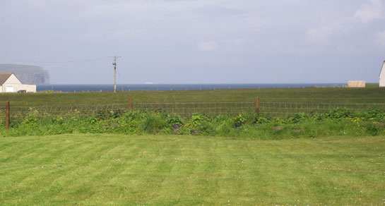 Kittiwake Cottage, KW14 8XN