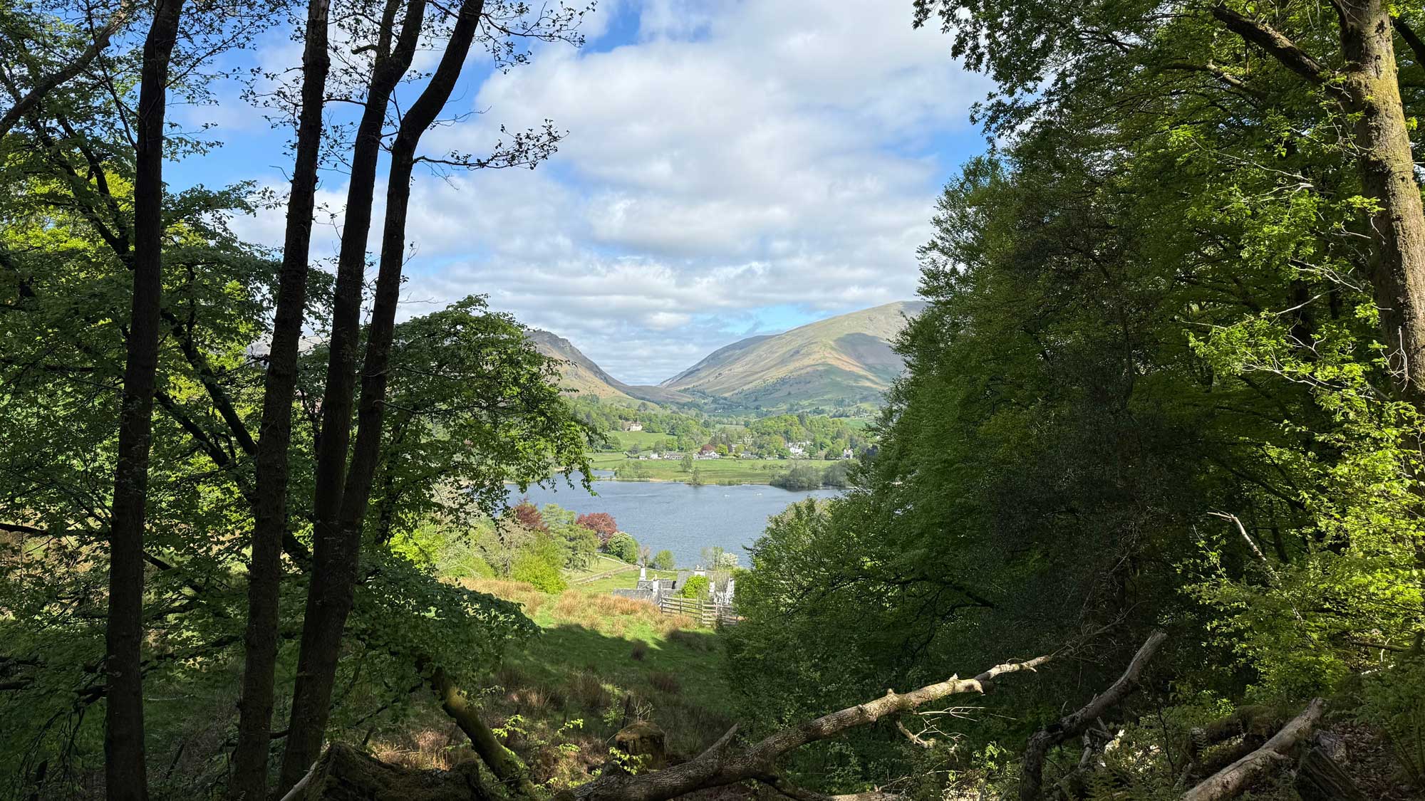 Scenic view through the trees towards Grasmere lake in the Lake District on a sunny day
