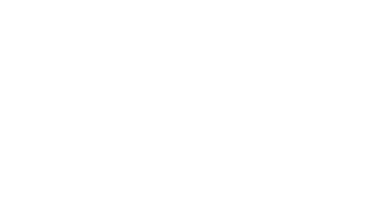 Prima Leisure logo
