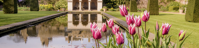 Walmer Castle