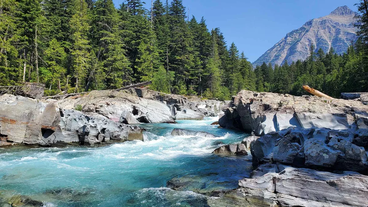 River flowing between rocky edges lined with tall trees with a mountain off in the distance at Kootenay National Park