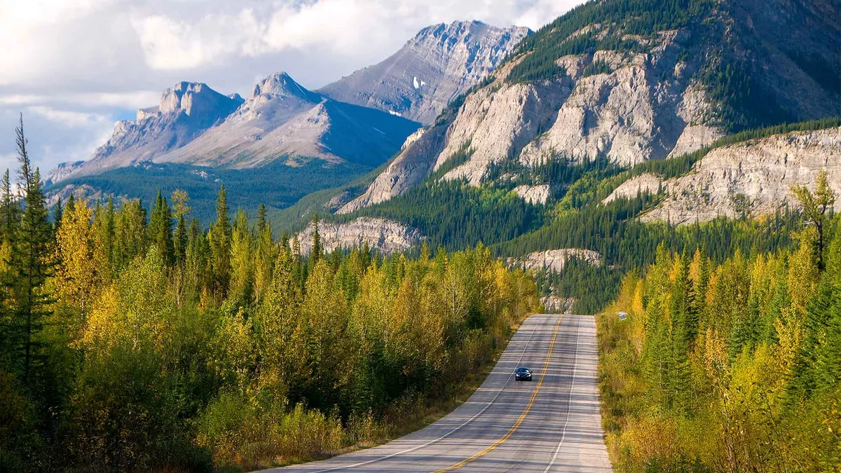 Road through the trees with high mountains behind at Jasper National Park Canada