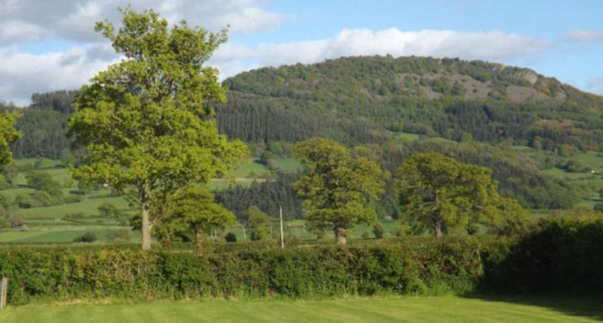 Meadow Cottage, SY21 9LB