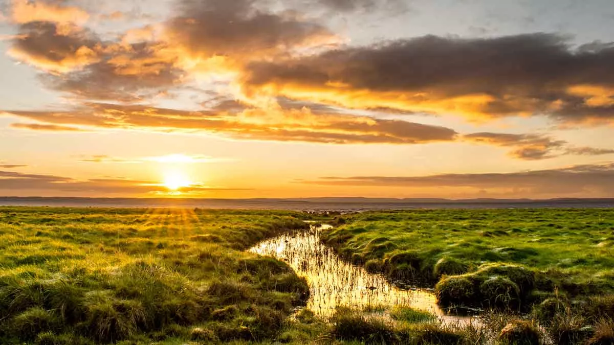 A river running through grasslands in Newport in Wales at sunset.