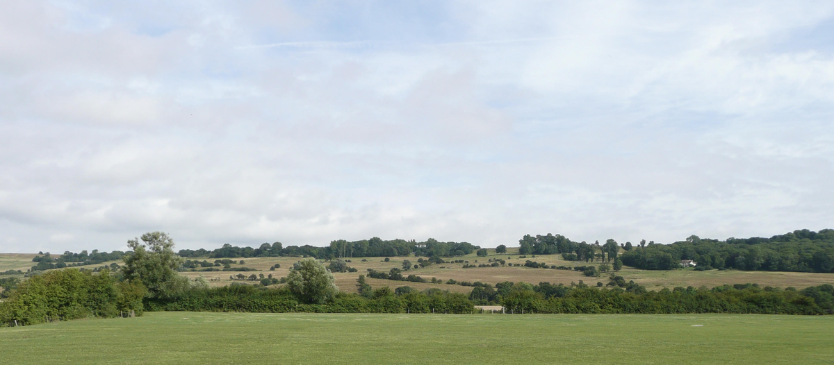 Harveyland Farm CL