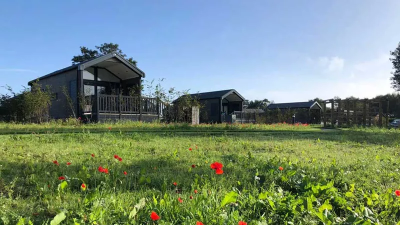 Glamping cabin cayton village